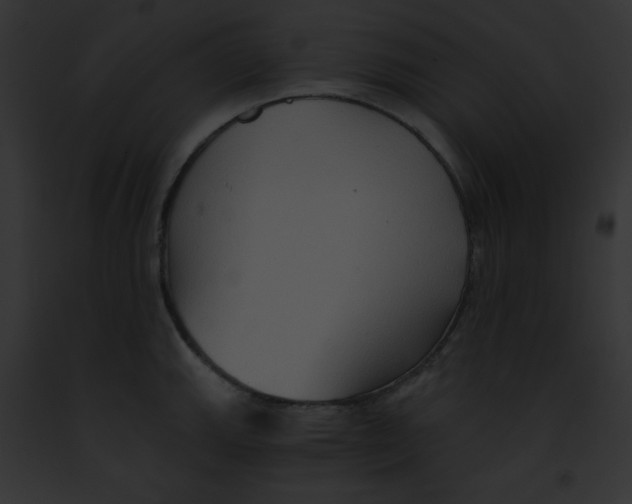 X0000091851143200710031015