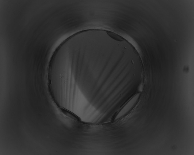 X0000091851144200710031015