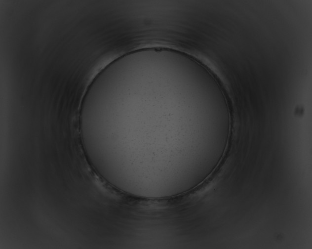 X0000091851145200710031015