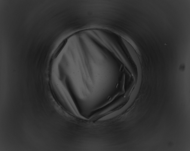 X0000091851148200710031015