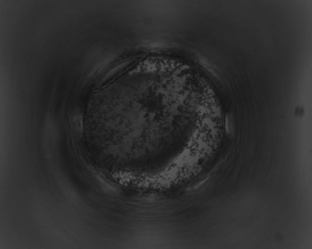 X0000091851155200710031014