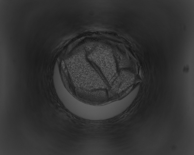 X0000091851157200710031014