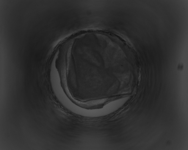X0000091851160200710031014