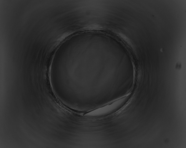 X0000091851161200710031014