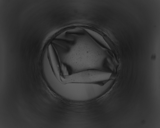 X0000091851164200710031014