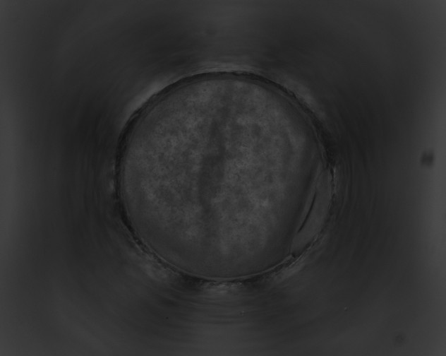 X0000091851165200710031014