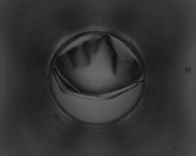 X0000091851168200710031014