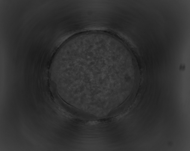 X0000091851169200710031014