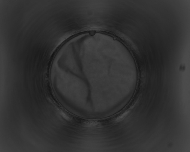 X0000091851170200710031014