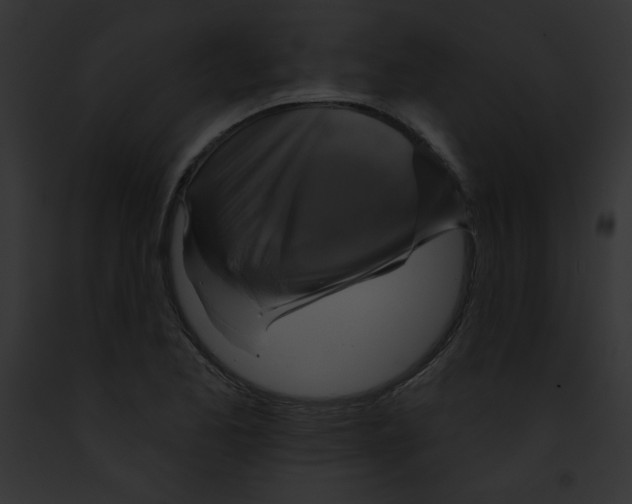 X0000091851173200710031014