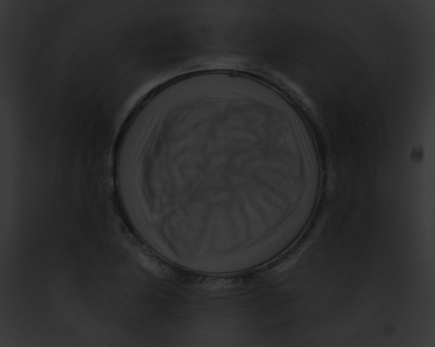 X0000091851174200710031014
