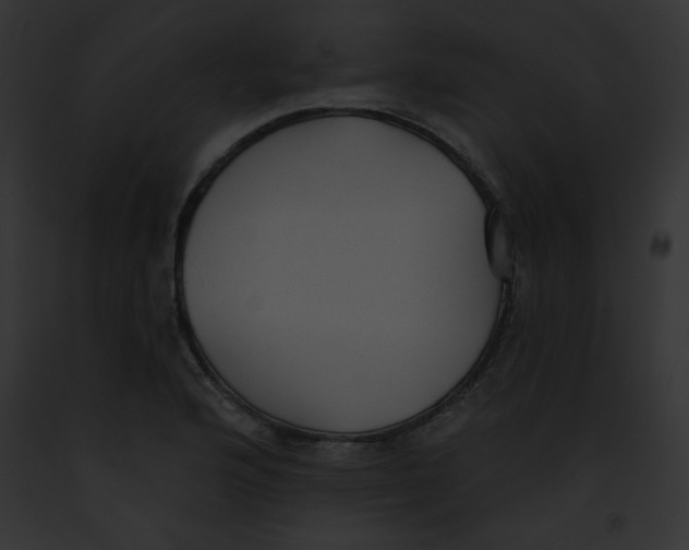 X0000091851176200710031014