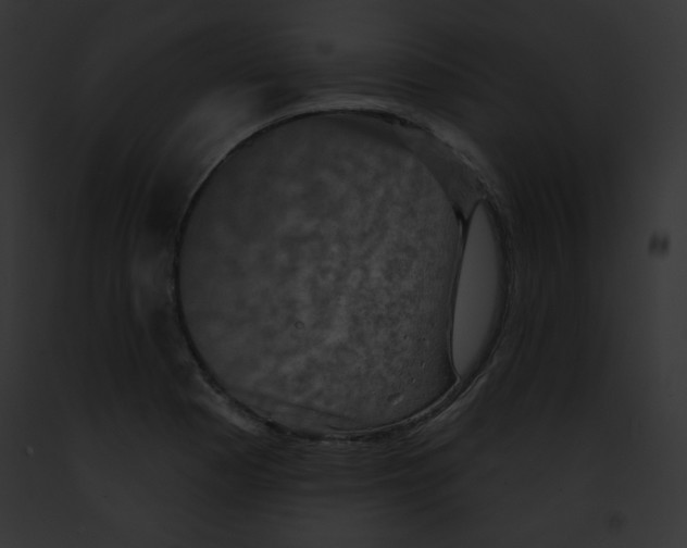 X0000091851177200710031014