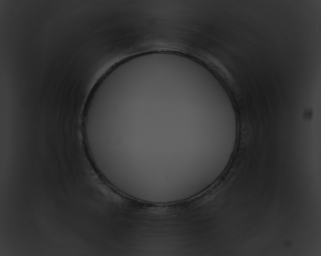 X0000091851182200710031014