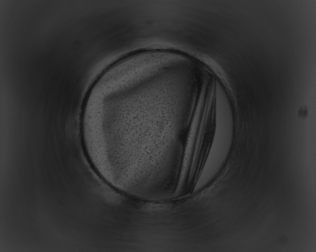 X0000091851183200710031014