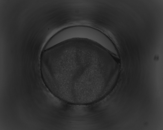 X0000091851184200710031014