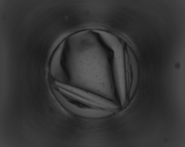 X0000091851188200710031014