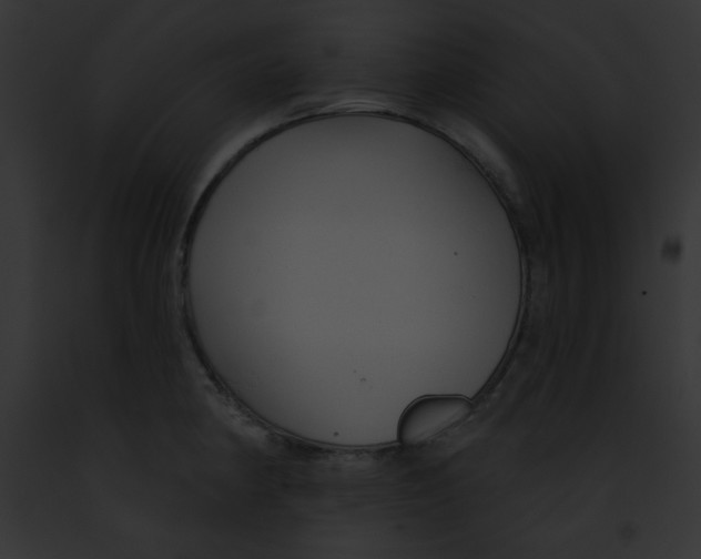 X0000091851190200710031014