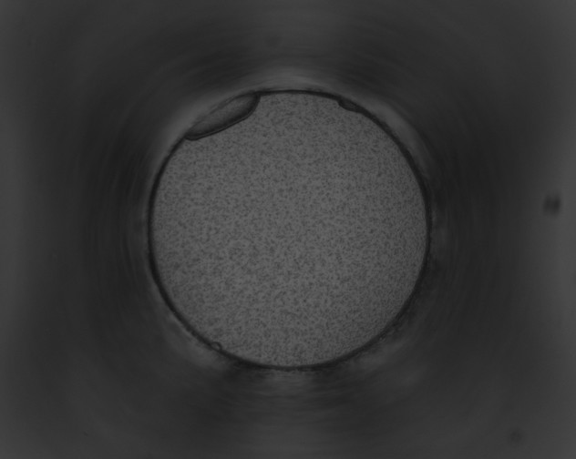 X0000091851191200710031014