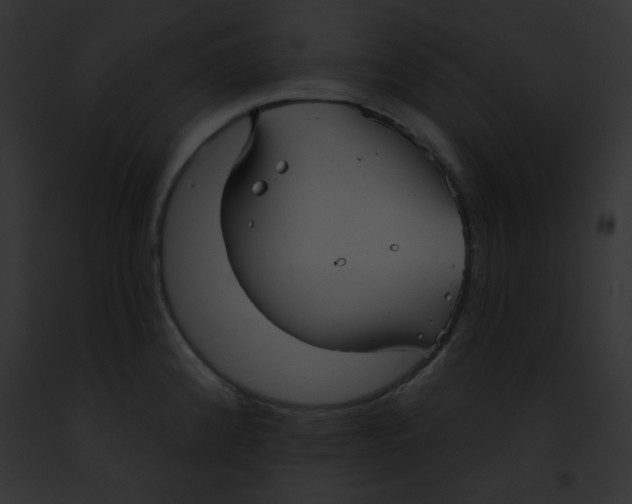 X0000091851192200710031013