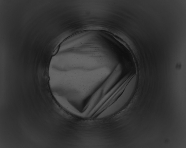 X0000091851193200710031013