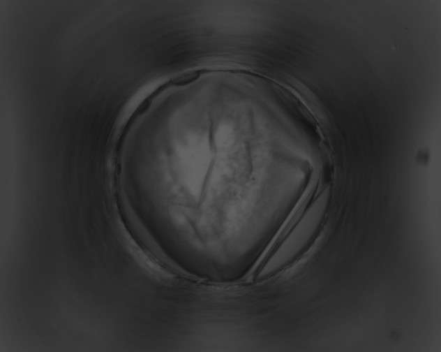 X0000091851196200710031013