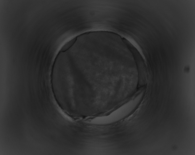 X0000091851197200710031013