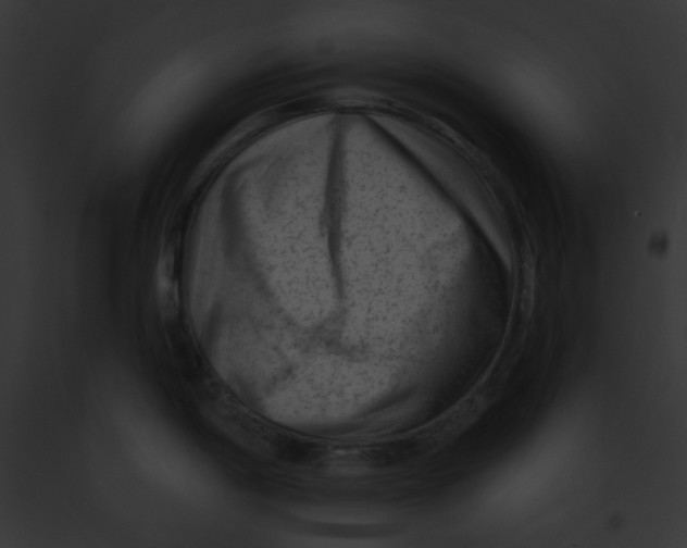 X0000091851198200710031013