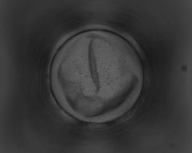X0000091851199200710031013