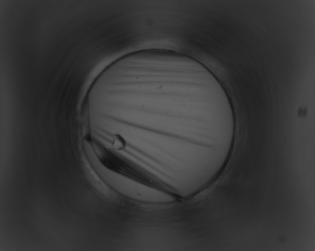 X0000091851200200710031013