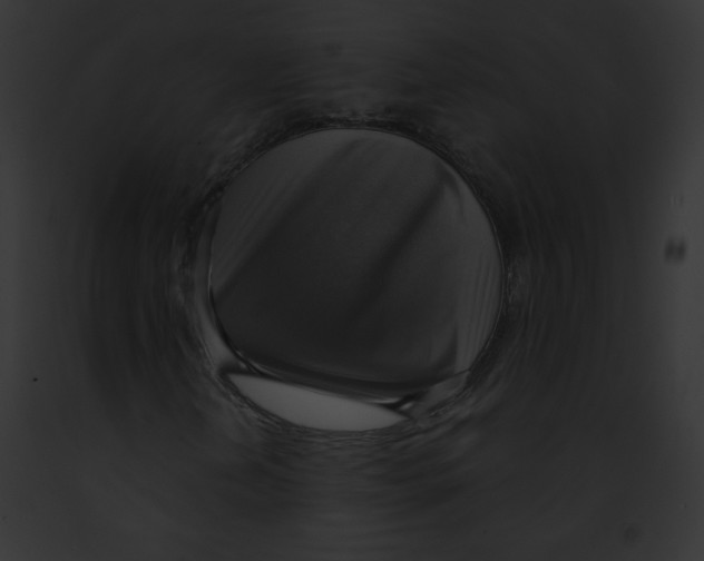 X0000091851202200710031013