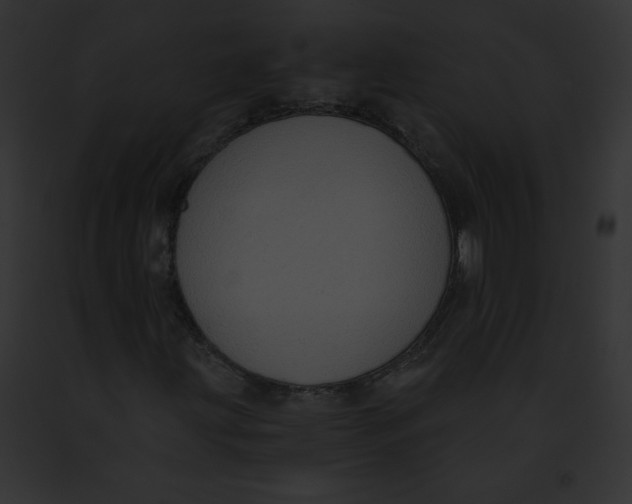X0000091851203200710031013
