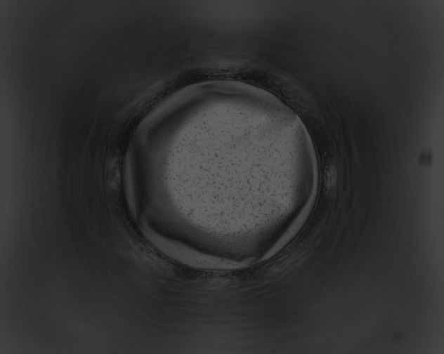 X0000091851204200710031013
