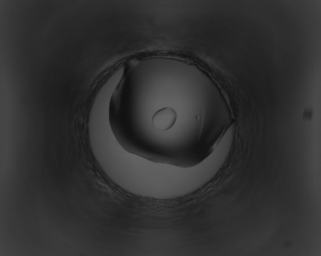 X0000091851206200710031013