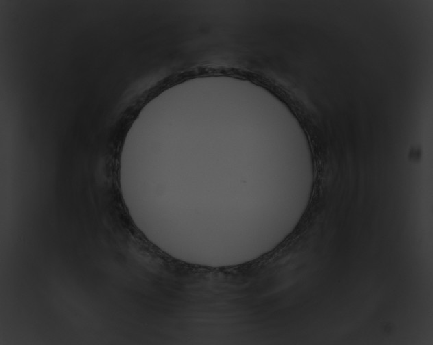 X0000091851207200710031013