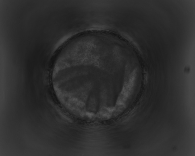 X0000091851208200710031013