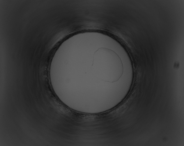 X0000091851211200710031013