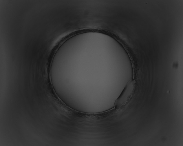 X0000091851214200710031013