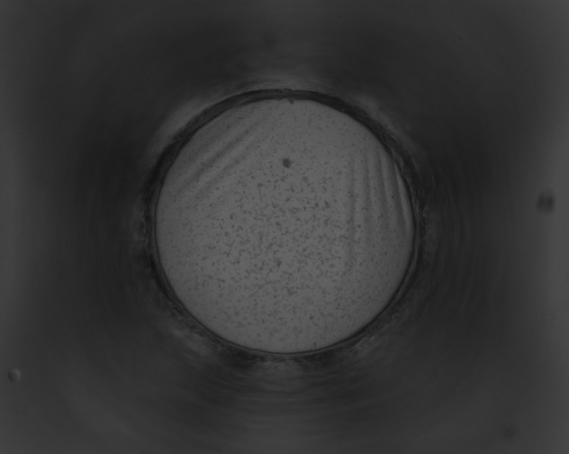 X0000091851215200710031013