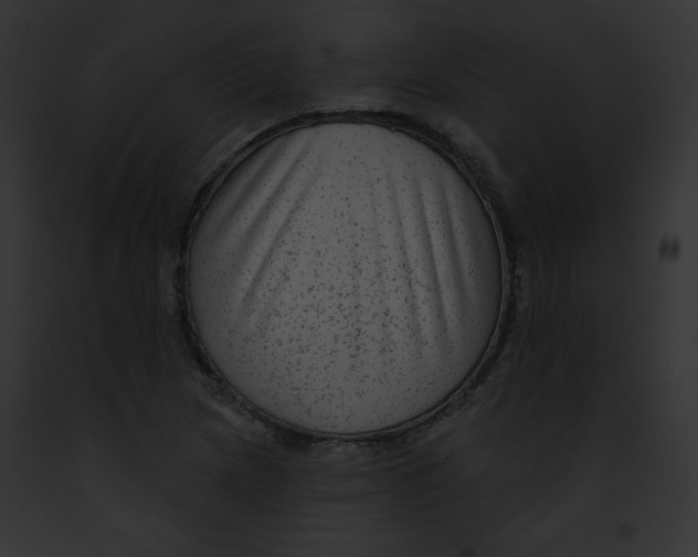X0000091851217200710031013