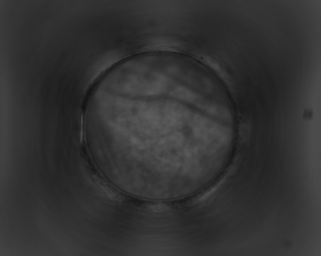 X0000091851219200710031013
