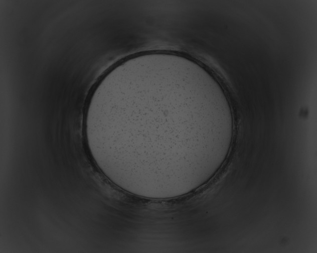 X0000091851220200710031013
