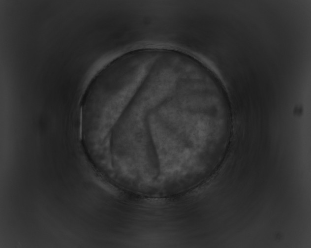 X0000091851223200710031013
