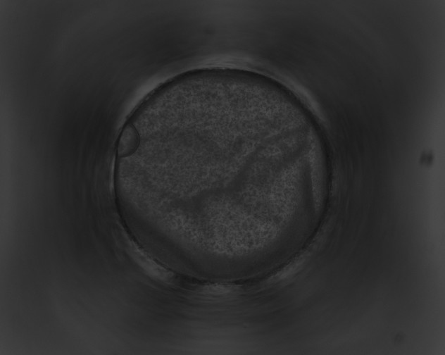 X0000091851224200710031013