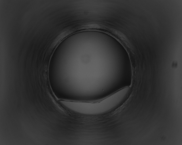 X0000091851225200710031013