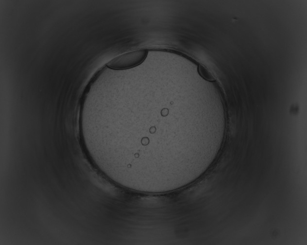 X0000091851227200710031013
