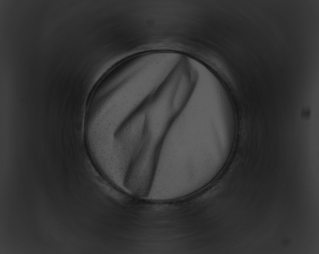X0000091851228200710031013