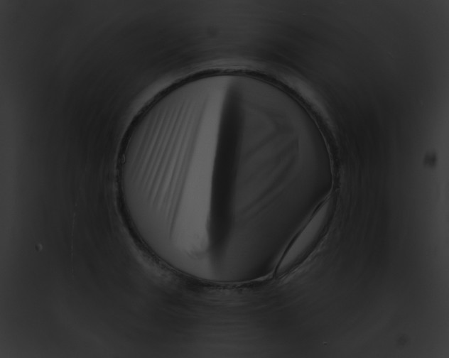 X0000091851229200710031013