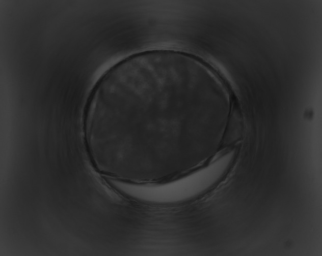 X0000091851230200710031013