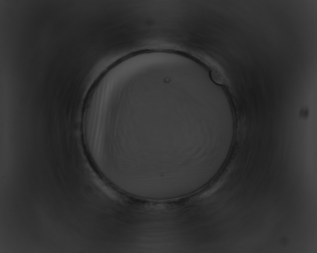 X0000091851231200710031013
